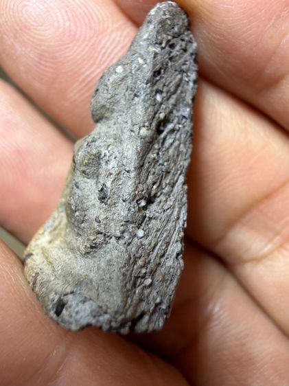 พระเก่าๆเหมาๆบ้านๆ พระคนแก่เก่าๆเก็บ ทิ้งใว้ก่อนจากไป ให้ยายดูแลเเทน ขายเหมาๆออกมาตามประสาคนบ้านๆ 081-3330446 L.tonyabu รูปที่ 9