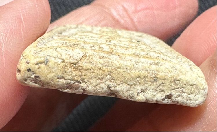 องค์ละ1000🙏พระสมเด็จพระบ้าน พิมพ์ต่างๆ รูปที่ 5