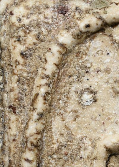 หนึ่งเดียว พระบ้าน พระสมเด็จวัดระฆัง พิมพ์ใหญ่ เนื้อผงน้ำมัน มีมวลสาร สวย รูปที่ 10