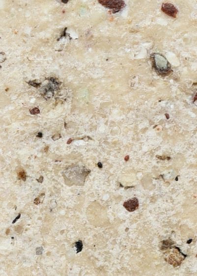 หนึ่งเดียว พระบ้าน พระสมเด็จวัดระฆัง พิมพ์ใหญ่ เนื้อผงน้ำมัน มีมวลสาร สวย รูปที่ 3