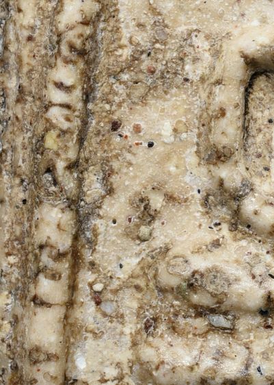 หนึ่งเดียว พระบ้าน พระสมเด็จวัดระฆัง พิมพ์ใหญ่ เนื้อผงน้ำมัน มีมวลสาร สวย รูปที่ 13