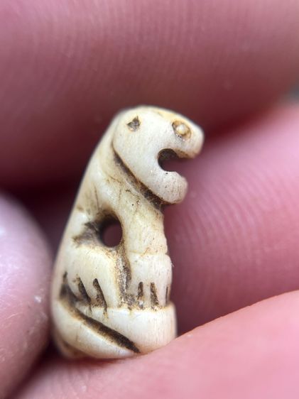 เสือ (มีสินค้าหลายรายการกดเข้ามาดูในโปรไฟล์ได้เลยครับ)