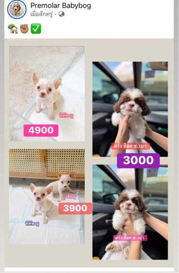 ด่วนๆ ลดสินสอดจ้า ‼️