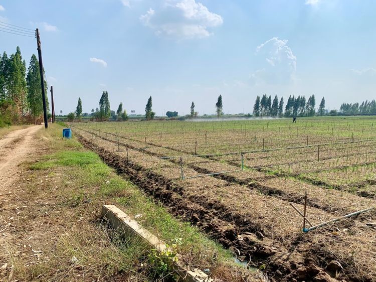 ที่ดินทำเลทองผืนใหญ่16ไร่ วังศาลา ท่าม่วง แปลงสวย ทำเลดี แหล่งชุมชน ใกล้ทางด่วนM81 จากกรุงเทพเพียง1ชม. คมนาคมสะดวก รูปที่ 4