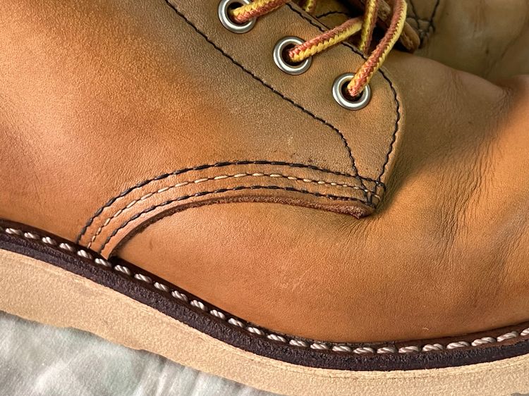 Red Wing 8199 Boots รูปที่ 10