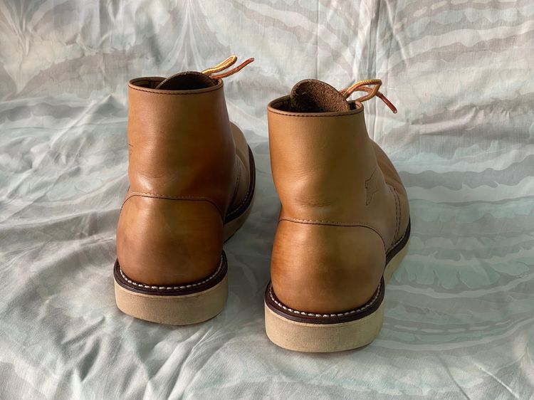 Red Wing 8199 Boots รูปที่ 7