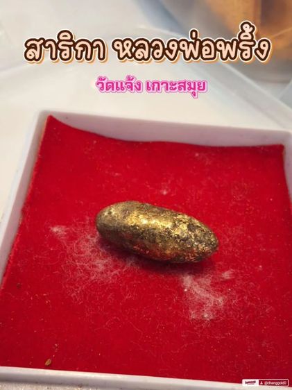 ตะกรุดสาริกาหลวงพ่อพริ้งวัดแจ้งสมุย