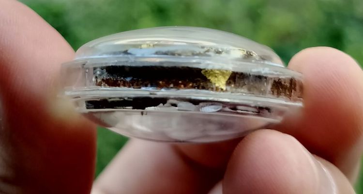 พ่อแก่รุ่นแรก  เนื้อมวลสารเนื้อวาน๑๐๘ ด้านหลังฝังตะกรุดหัวใจพ่อแก่ ไม้วิเศษ พระครูปืน ปัญญาวุโธ วัดลาดชะโด ตำรับสายวัดพระญาติ จ.อยุธยา รูปที่ 4