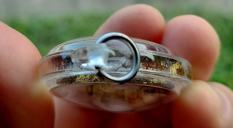 พ่อแก่รุ่นแรก  เนื้อมวลสารเนื้อวาน๑๐๘ ด้านหลังฝังตะกรุดหัวใจพ่อแก่ ไม้วิเศษ พระครูปืน ปัญญาวุโธ วัดลาดชะโด ตำรับสายวัดพระญาติ จ.อยุธยา รูปที่ 5