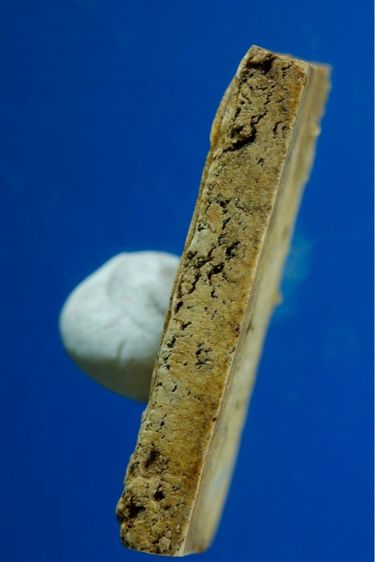 พระสมเด็จวัดระฆัง รูปที่ 4