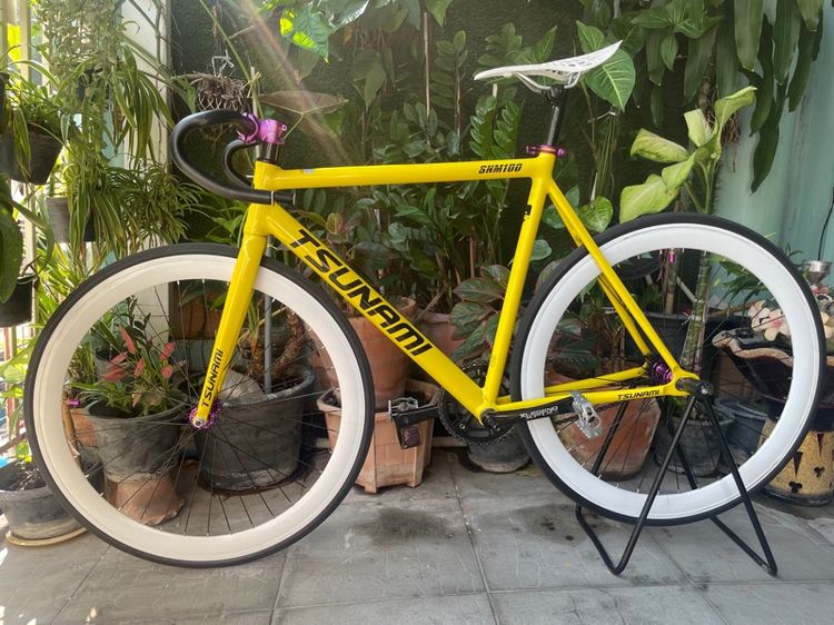 Tsunami snm100 รูปที่ 2