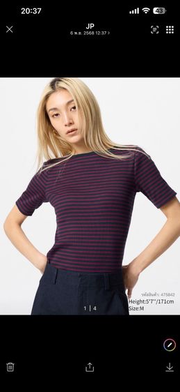 เสื้อ UNIQLO Size L 