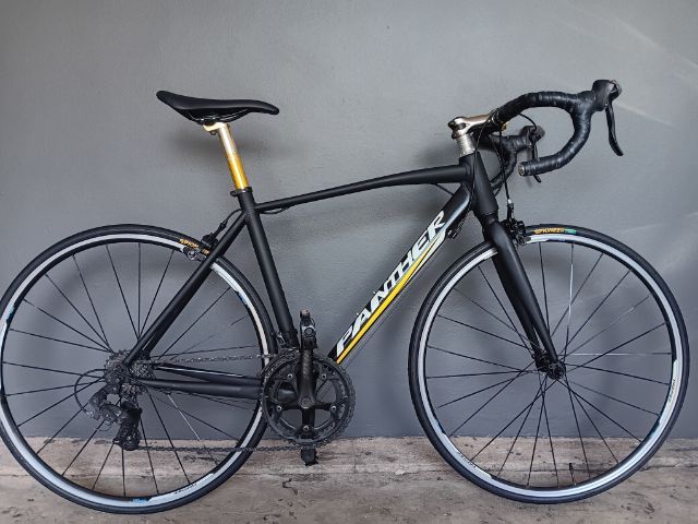 เสือหมอบpanther  move