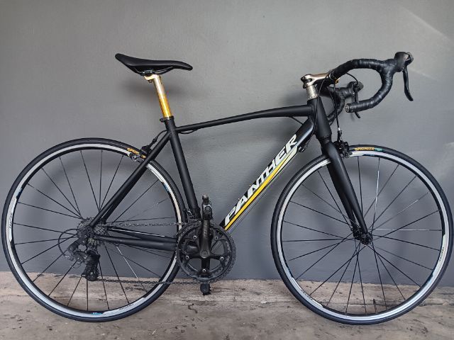 เสือหมอบpanther  move รูปที่ 3