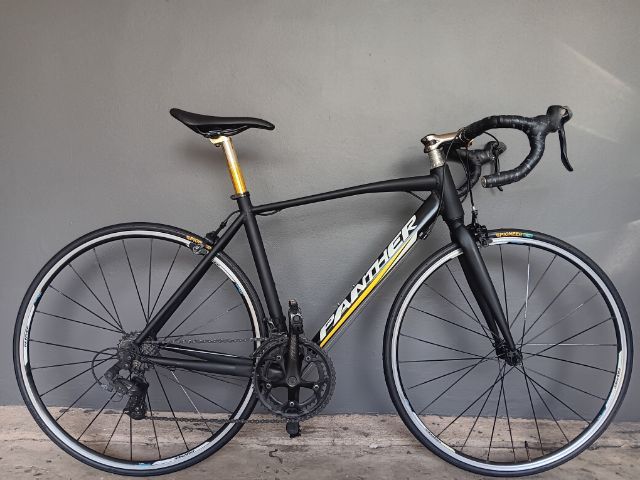 เสือหมอบpanther  move รูปที่ 2