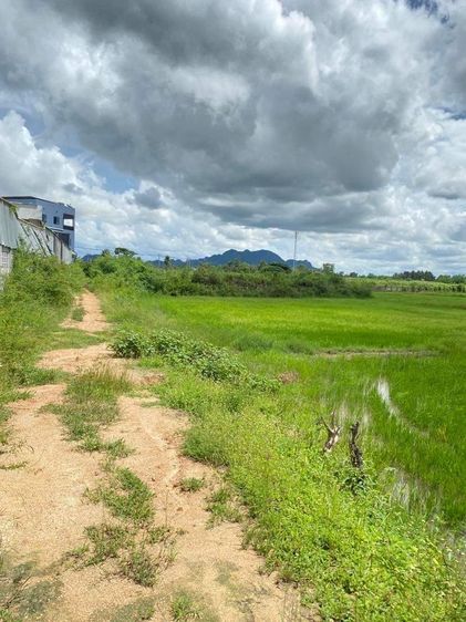 ขายที่ดินชะอำ 10-2-65 ไร่ ราคาไร่ละ 2500,000 ล้านบาท ใกล้ถนนเพชรเกษม 100ม. ห่างจากทะเลชะอำ 10 กม ที่ดินอยู่หลังโรงแรมขันทิมาบูติก รูปที่ 4