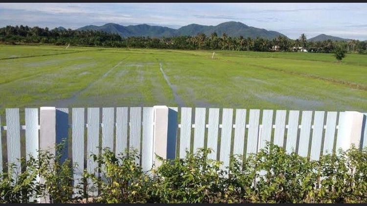 ขายที่ดินชะอำ 10-2-65 ไร่ ราคาไร่ละ 2500,000 ล้านบาท ใกล้ถนนเพชรเกษม 100ม. ห่างจากทะเลชะอำ 10 กม ที่ดินอยู่หลังโรงแรมขันทิมาบูติก รูปที่ 2