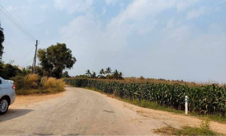 ใช่ ที่ดินสวยใกล้เมืองกำแพงเพรช รูปที่ 4