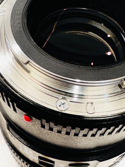 Canon 100mm Macro F2.8L IS USM รูปที่ 8