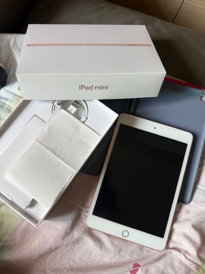 Apple 256 GB iPad Mini Gen 5