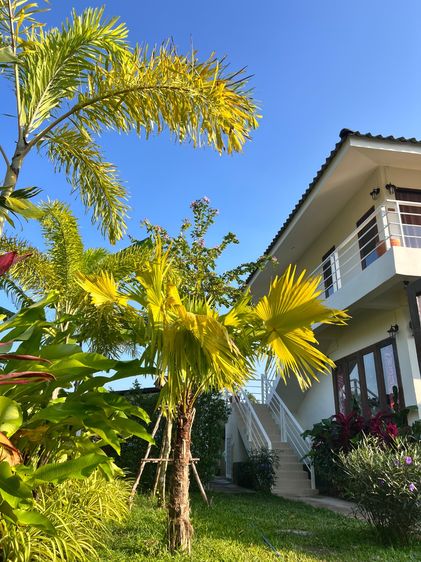 อื่นๆ ตกแต่งครบ 2025 ขายบ้านพร้อมที่ดิน อ เมือง กาญ รูปที่ 3