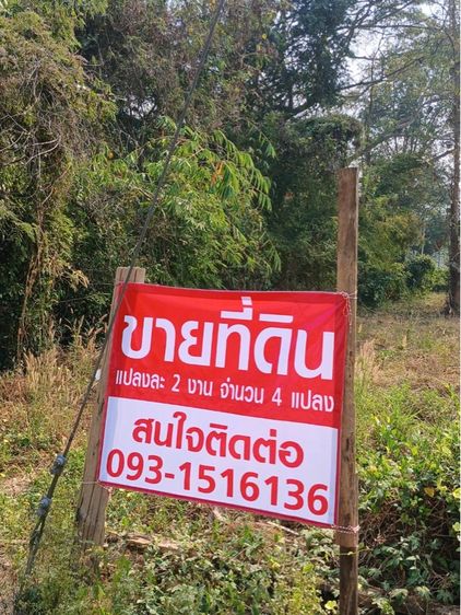 ใช่ ที่ดินสวยวิวเขา แพร่ อำเภอ ลอง ทำบ้านพักตากอากาศ รูปที่ 4