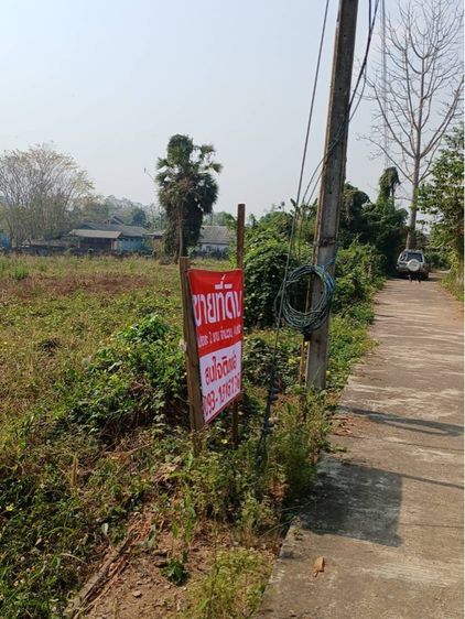 ใช่ ที่ดินสวยวิวเขา แพร่ อำเภอ ลอง ทำบ้านพักตากอากาศ รูปที่ 3