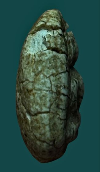 พระกรุวัดพลับ  กทม. รูปที่ 3