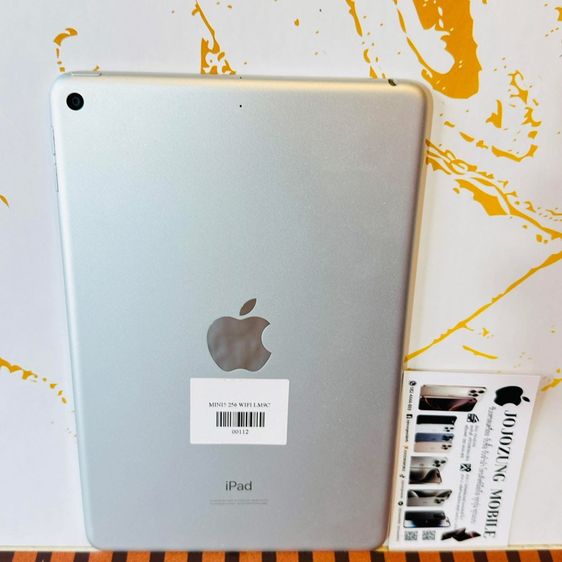 IPAD MINI5