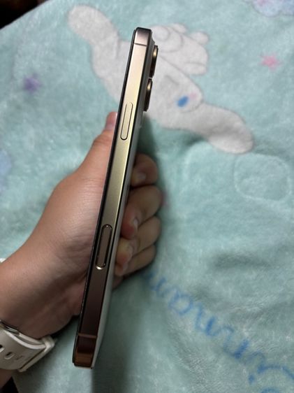 Iphone 16 pro max รูปที่ 3