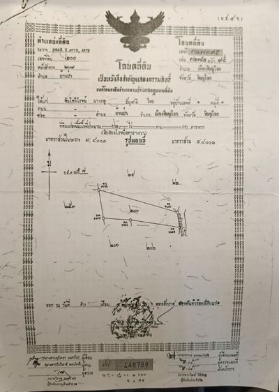 ที่ดิน 12 ไร่