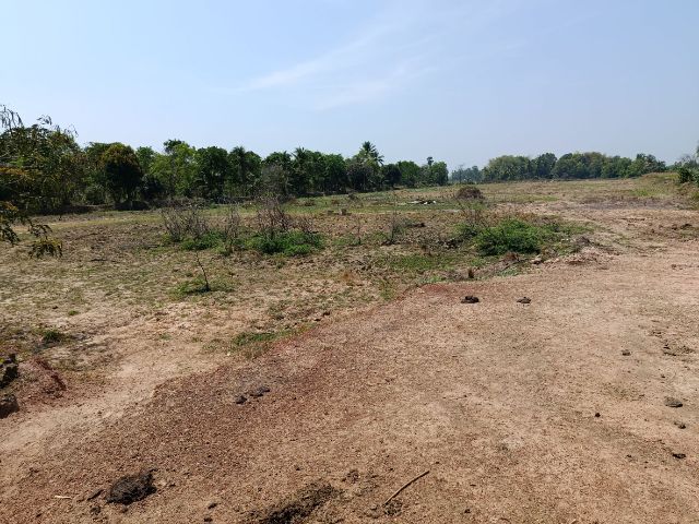 ใช่ ที่ดิน 12 ไร่ รูปที่ 3