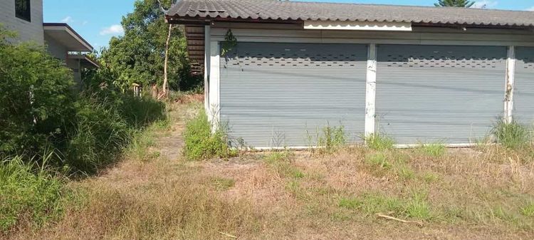 ขายทีั่ดินพร้อมบ้าน มุกดาหาร โพนทราย ติดถนนมุกดาหาร-คำชะอี 1ไร่ 1งาน 44ตารางวา รูปที่ 3