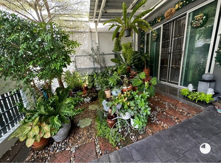 ขายทาวน์โฮม The connect onnut