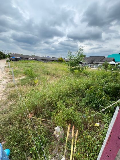 ที่ดินระยองใกล้ทะเล รูปที่ 4