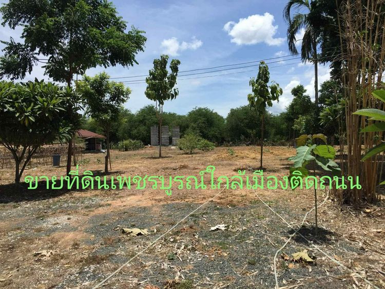 ขายที่ดินเพชรบูรณ์อำเภอเมืองติดถนน