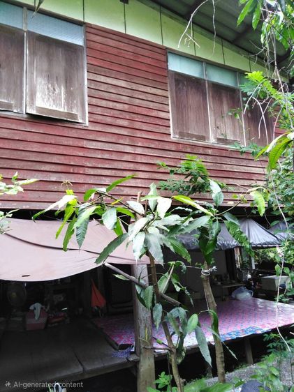 ไม่มี สร้างเสร็จก่อน 2010 ขายถูก บ้านไม้พร้อมที่ดิน 108 ตรว. ราคา 2 ล้าน รูปที่ 3