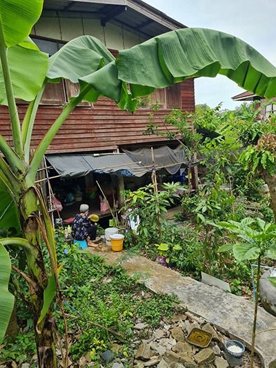 ไม่มี สร้างเสร็จก่อน 2010 ขายถูก บ้านไม้พร้อมที่ดิน 108 ตรว. ราคา 2 ล้าน รูปที่ 2