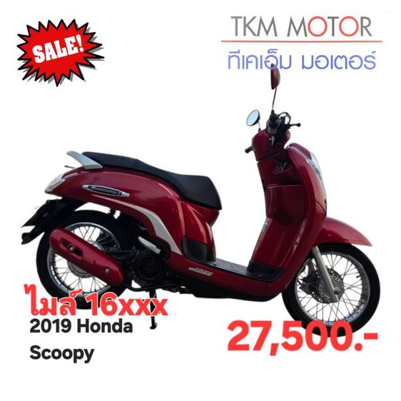 ขายด่วน Honda scoopy ปี 2019