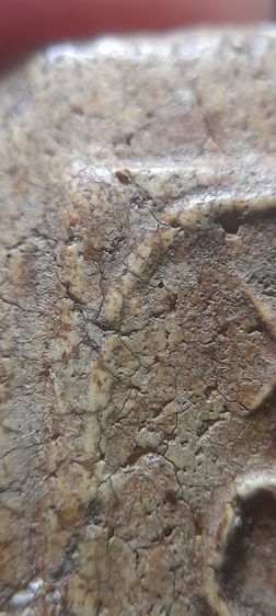 สมเด็จเกษไชโย รูปที่ 5