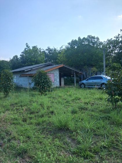 ที่ดินพร้อมบ้าน รูปที่ 2