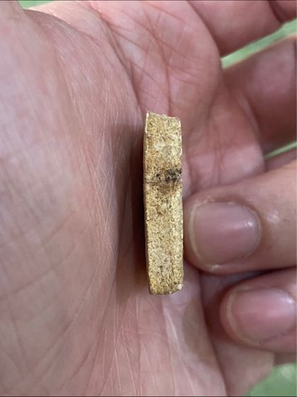 พระผงของขวัญ หลวงพ่อสด วัดปากน้ำ รูปที่ 3