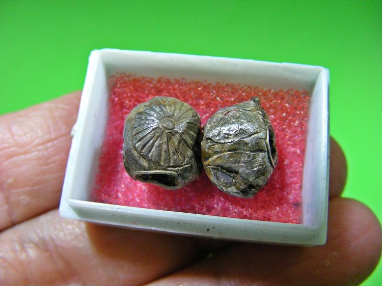 ลูกสะกดเนื้อว่าน บุเงิน เก่าๆ พระบ้านๆ