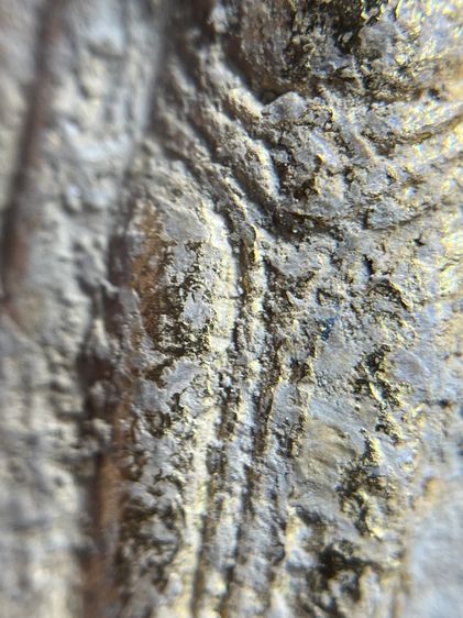 พระร่วงรางปืนเนื้อเปียกทอง รูปที่ 11