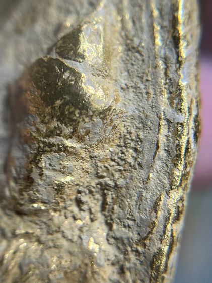 พระร่วงรางปืนเนื้อเปียกทอง รูปที่ 5