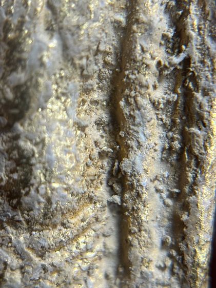 พระร่วงรางปืนเนื้อเปียกทอง รูปที่ 9