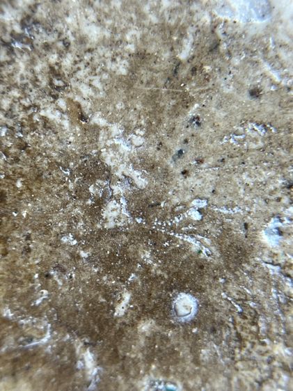 พระสมเด็จวัดระฆังพิมพ์ใหญ่ จุ่มรักน้ำเกลี้ยง  รูปที่ 15