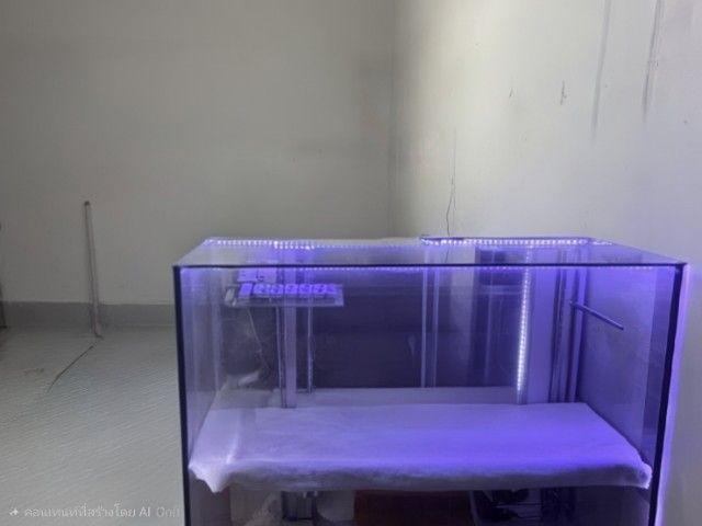 กระจก ตู้โชว์​