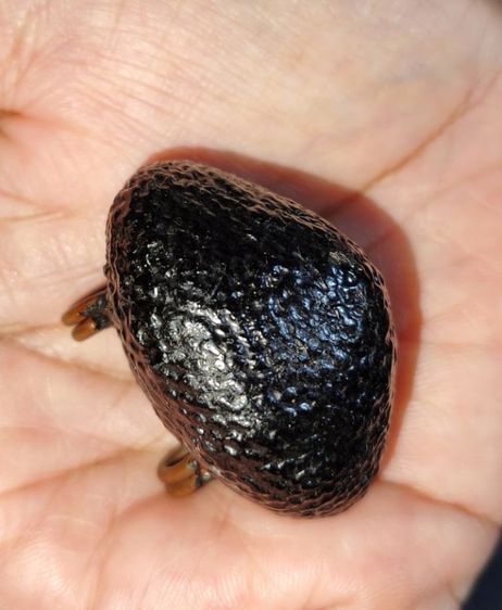 เปิดค่ะ เครื่องรางไม่ทราบที่ รูปที่ 5