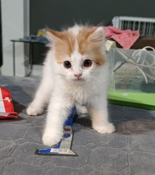 รับผมไปด้วยได้มั้ย รูปที่ 3